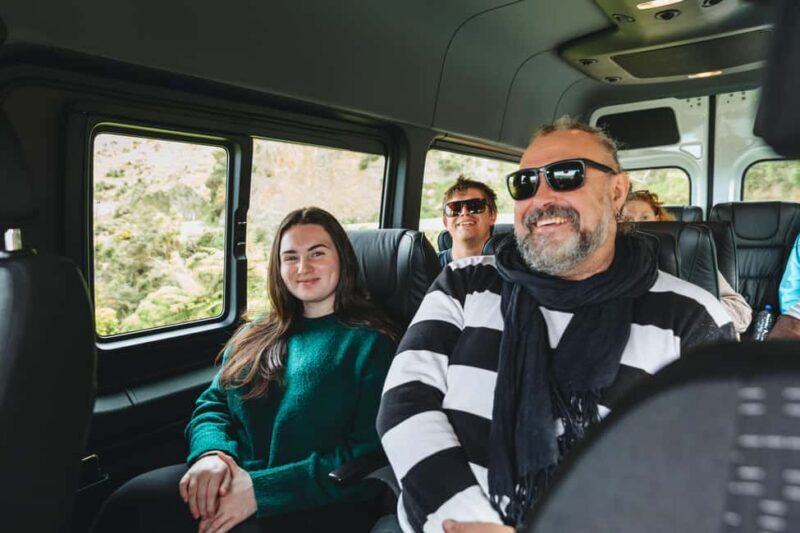 Wellington: Half Day Seal Coast Safari - Key Points