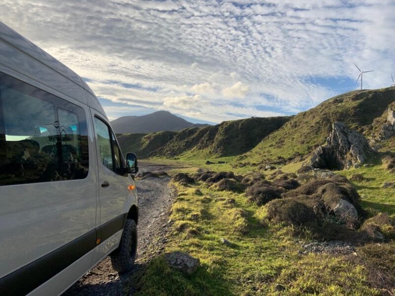 Wellington: Half Day Seal Coast Safari - The Detailed Experience of Wellington’s Seal Coast Safari