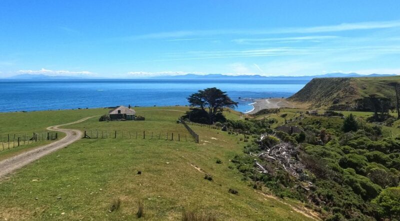 Wellington: Half Day Seal Coast Safari - FAQ
