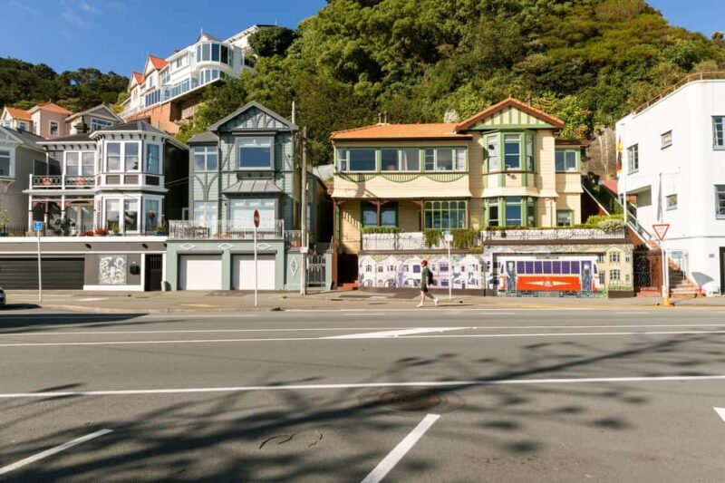 Wellington: Highlights Tour with a Local Guide - Key Points