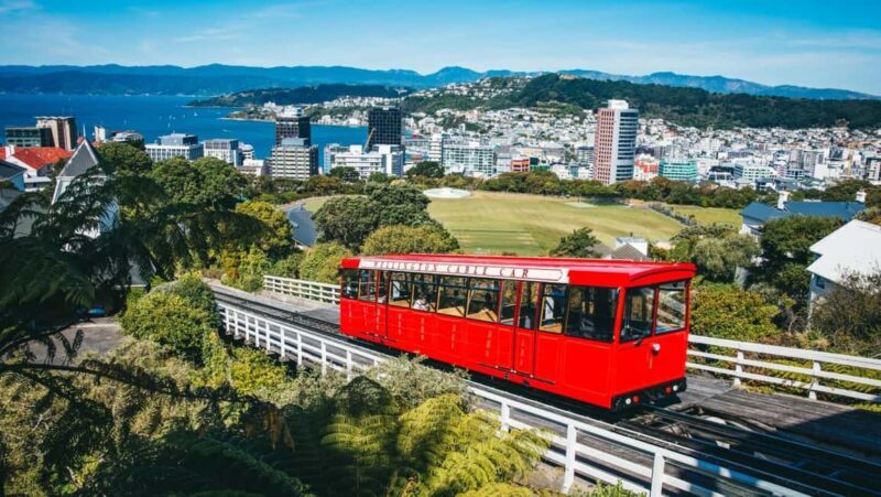 Wellington: Highlights Tour with a Local Guide - Authentic Traveler Insights