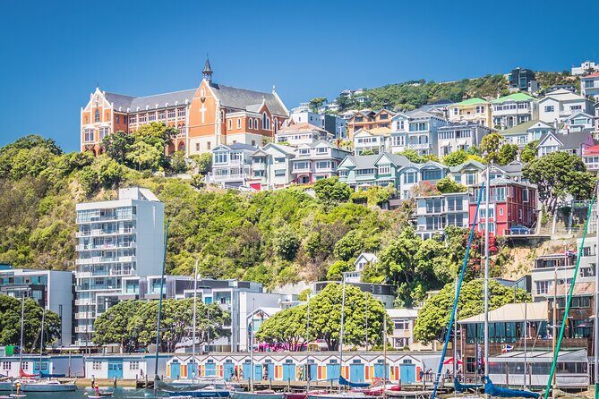 Wellington Hiking Tour: Climb & Unwind Experience - Starting Point and Overall Structure