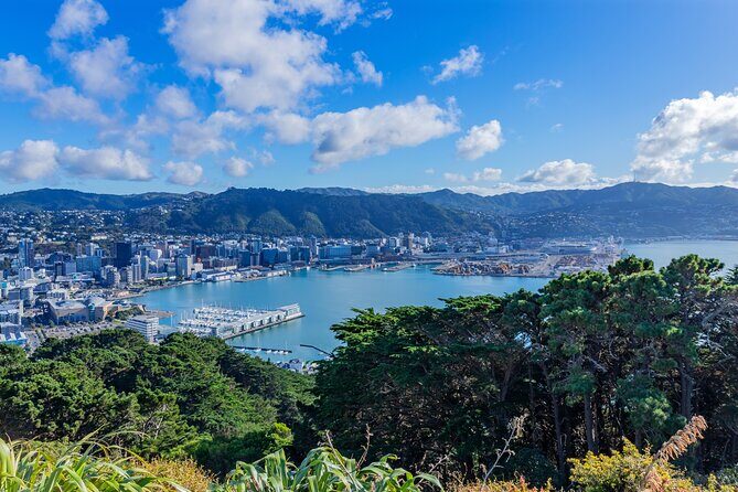 Wellington Hiking Tour: Climb & Unwind Experience - Authentic Experiences and Traveler Insights