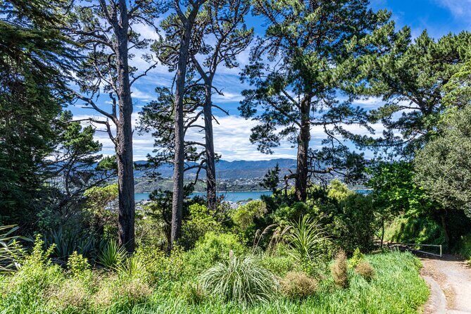 Wellington Hiking Tour: Climb & Unwind Experience - Why This Tour Offers Good Value
