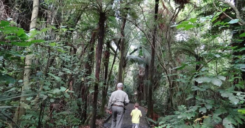 Wellington: Kapiti Coast Tour with Lunch and Entry Fees - Key Points