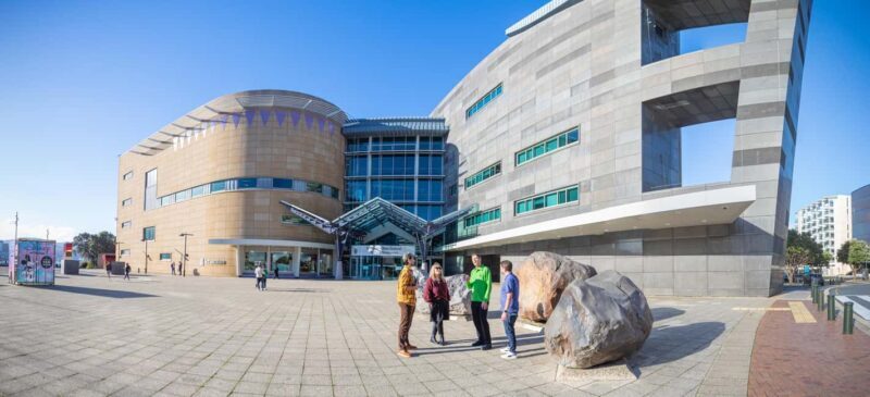 Wellington: Museum of NZ General Admission - Key Points