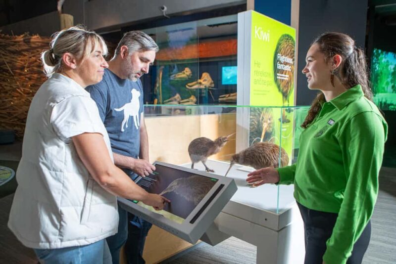 Wellington: Museum of NZ Guided Tour & General Admission - The Museum Itself: A Treasure Trove