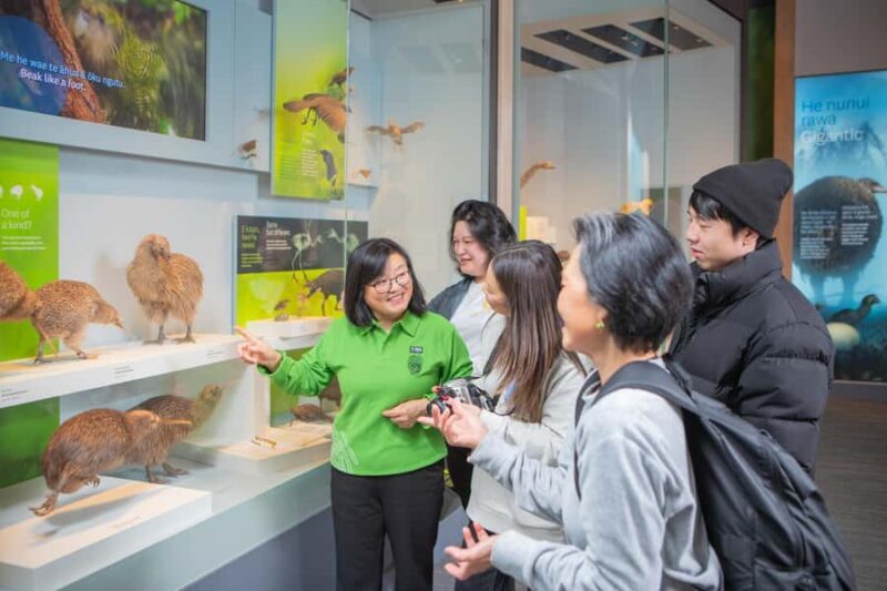 Wellington: Museum of NZ Intro Tour & General Admission - Key Points