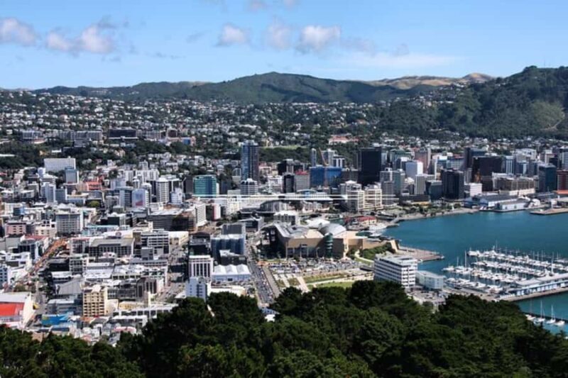 Wellington: Private custom tour with a local guide - An In-Depth Look at the Wellington Private Tour