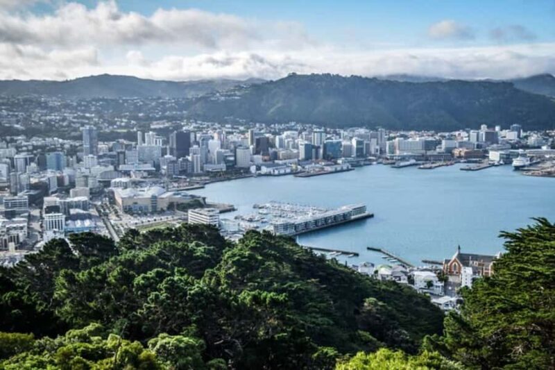 Wellington: Private custom tour with a local guide - Final Thoughts