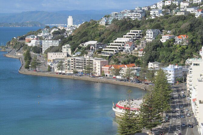 Wellington Private Day Tour with Door to Door Transfers - Exploring Wellington in Style: What to Expect