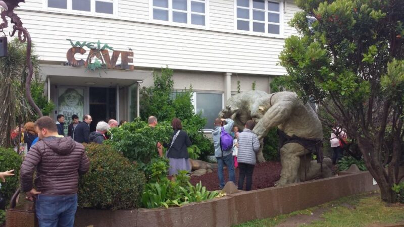 Wellington: Private Day Tour with Lunch - Final Thoughts: Who Will Appreciate This Tour?