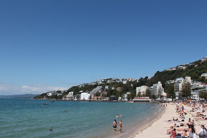 Wellington Scenic Full Day Tour - Final Thoughts