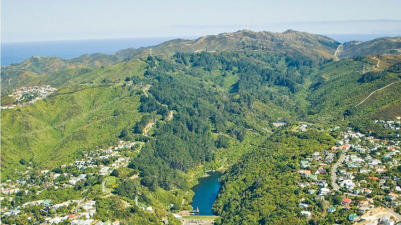 Wellington: Scenic Harbour Helicopter Flight - Key Points