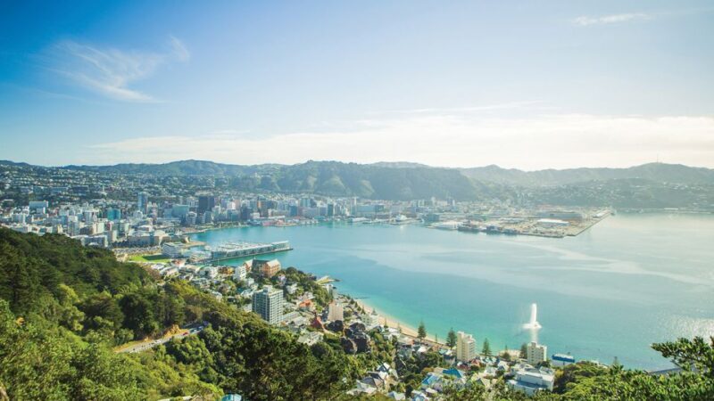 Wellington: Scenic Harbour Helicopter Flight - Reviews and Real Traveler Insights
