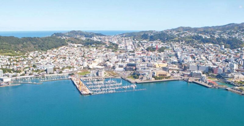 Wellington: Scenic South Coast Discovery Helicopter Flight - Exploring Wellington from the Sky