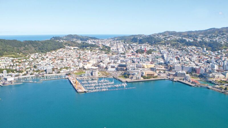 Wellington: Scenic South Coast Discovery Helicopter Flight - Authentic Experiences and Traveler Insights