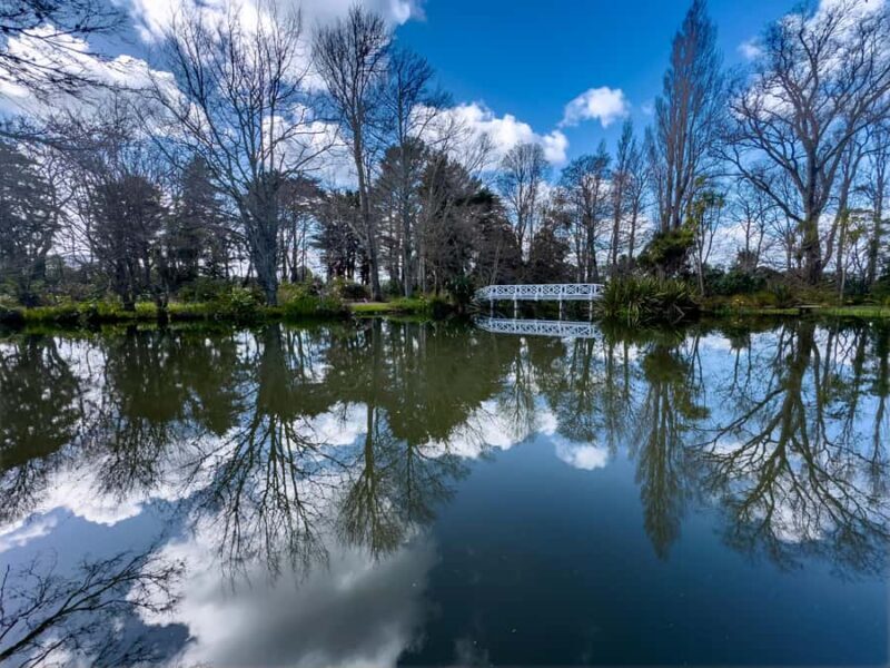 Wellington: Secret Realms of Middle-earth - Lothlorien - The Sum Up