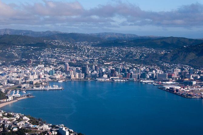 Wellington Shore Excursion City Sightseeing Tour - Detailed Breakdown of the Tour