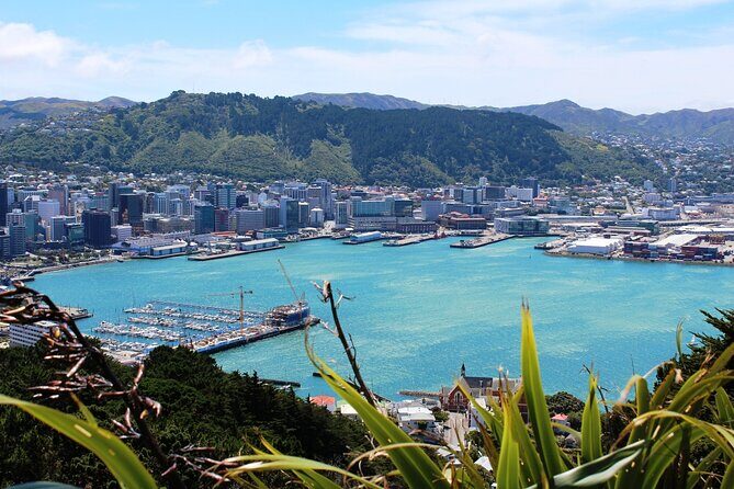 Wellington Shore Excursion City Sightseeing Tour - Who Is This Tour Best For?
