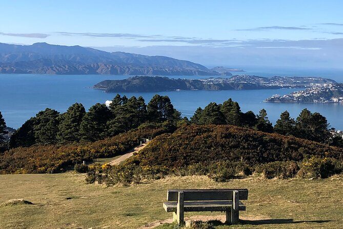 Wellington: Wild Skyline Guided Hiking Tour, Transfers + Lunch - Why Choose the Wellington Wild Skyline Guided Hike?