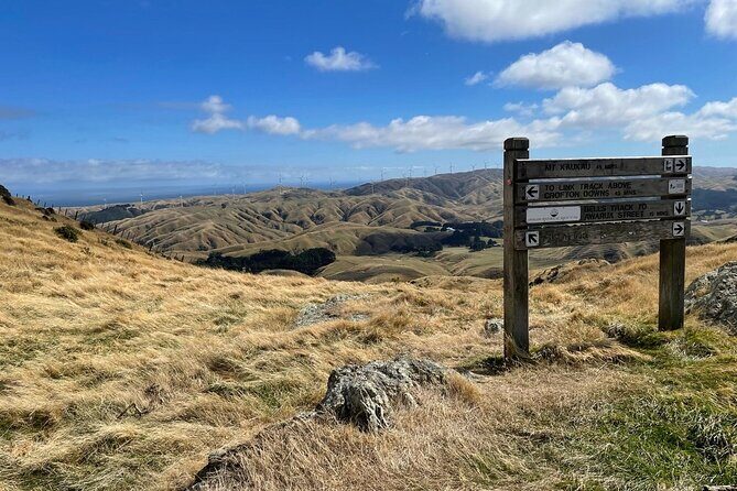 Wellington: Wild Skyline Guided Hiking Tour, Transfers + Lunch - Detailed Breakdown of the Itinerary