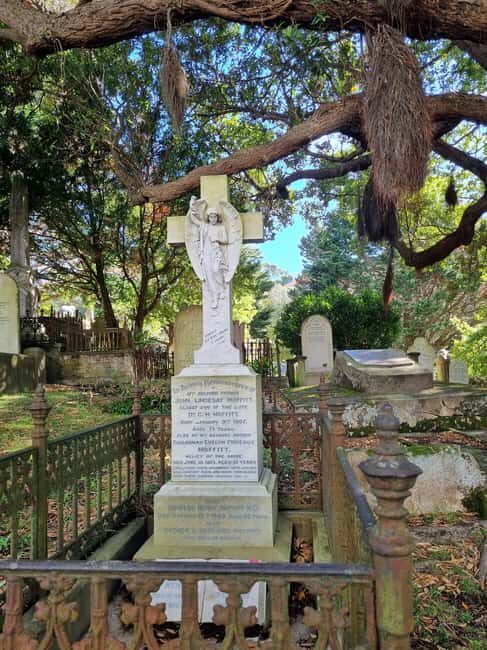 Wellington's Historical Walking Odyssey - Engaging Meta Description