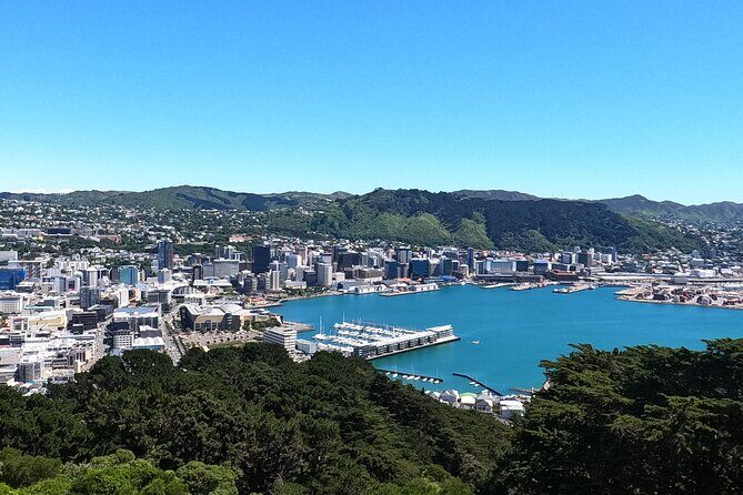 Wellington's Original LOTR Experience - includes Weta and Lunch - Who Should Book This Tour?