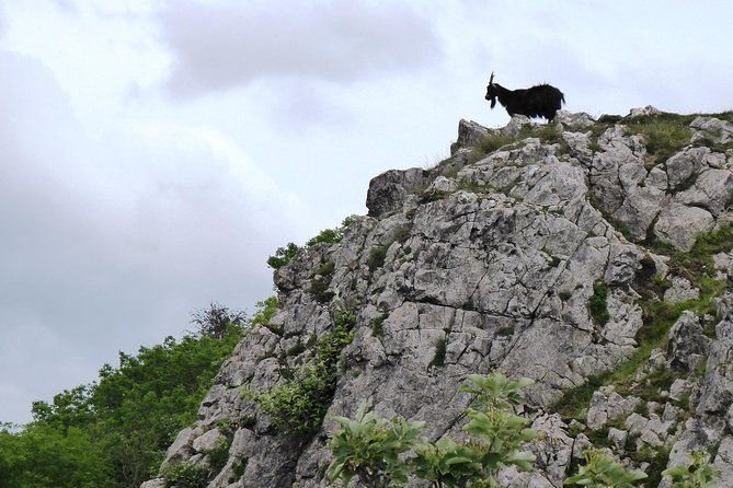 wells-cheddar-cheese-and-cheddar-gorge-private-day-trip-from-bath