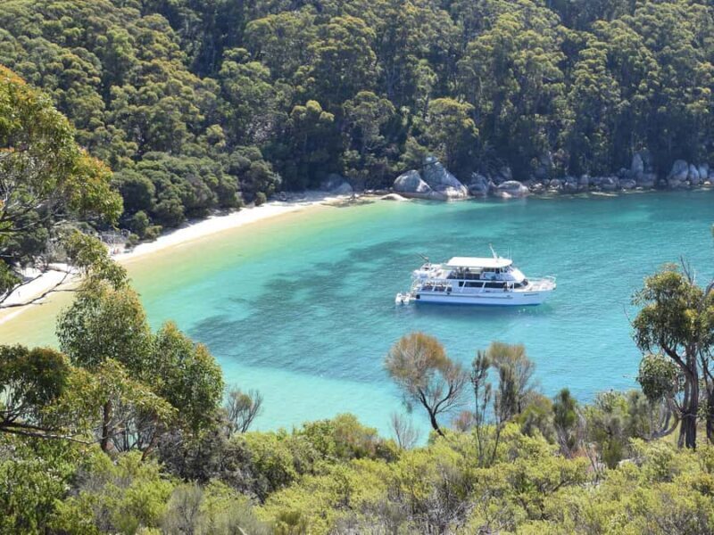 Welshpool: Wilsons Promontory Nature and Wildlife Day Cruise - An In-Depth Look at Wilsons Promontory Nature and Wildlife Cruise