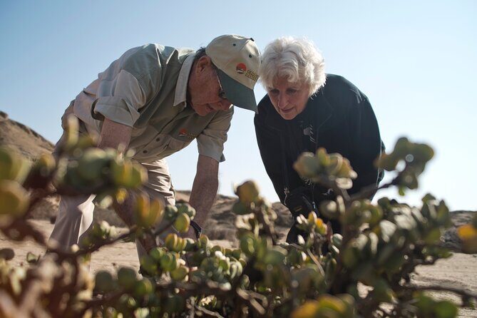 Welwitschia Tour from Swakopmund - Frequently Asked Questions