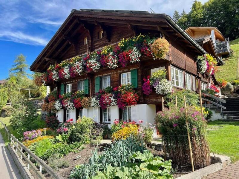Wengen: Family-Friendly Countryside Farm Tour in Swiss Alps - Key Points