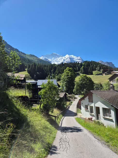 Wengen: Family-Friendly Countryside Farm Tour in Swiss Alps - Why This Tour Is a Great Choice
