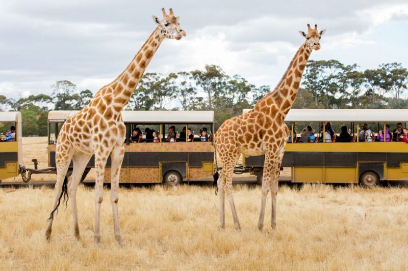 Werribee Open Range Zoo: Entry Ticket - The Educational Element and Keeper Talks