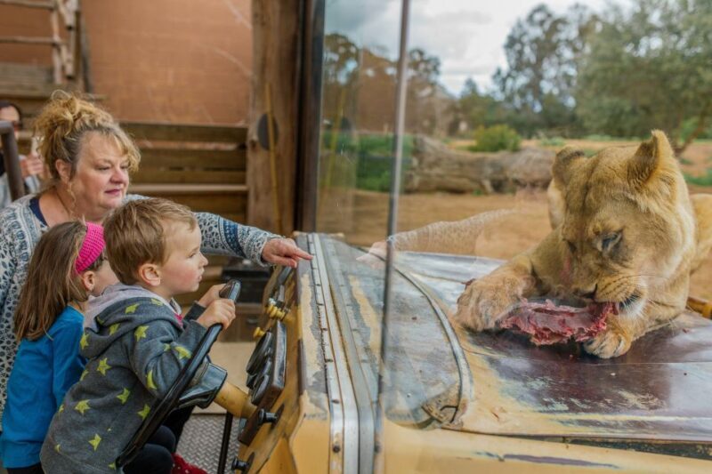 Werribee Open Range Zoo: Entry Ticket - The Verdict: Who Will Love Werribee Open Range Zoo?