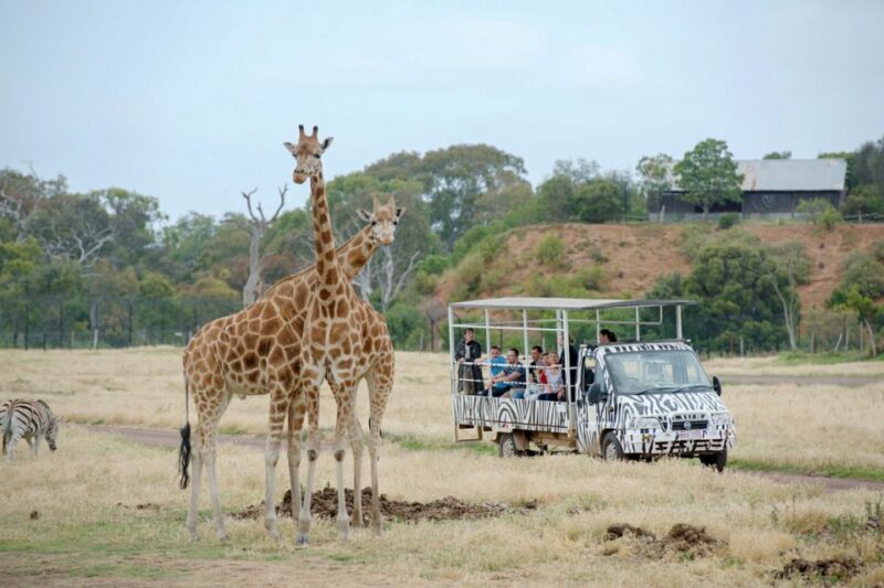 Werribee Open Range Zoo: Entry Ticket - The Sum Up