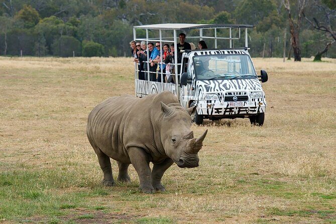 Werribee Zoo & Werribee Mansion Tour - What to Expect from the Werribee Safari and Mansion Experience