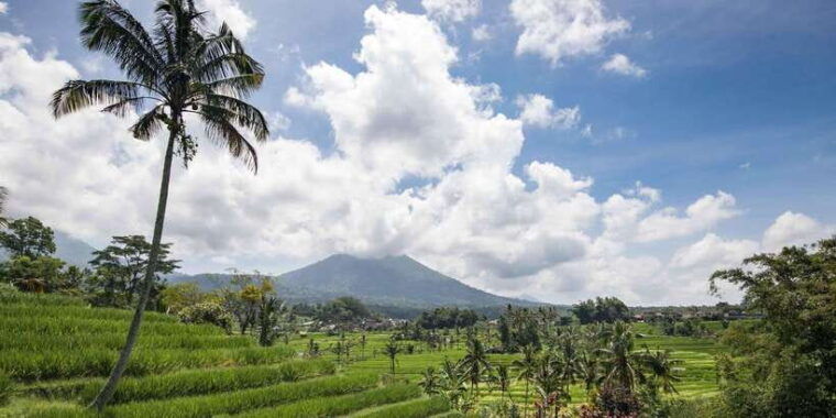 west-bali-jatiluwih-rice-terrace-and-tanah-lot-sunset-tour
