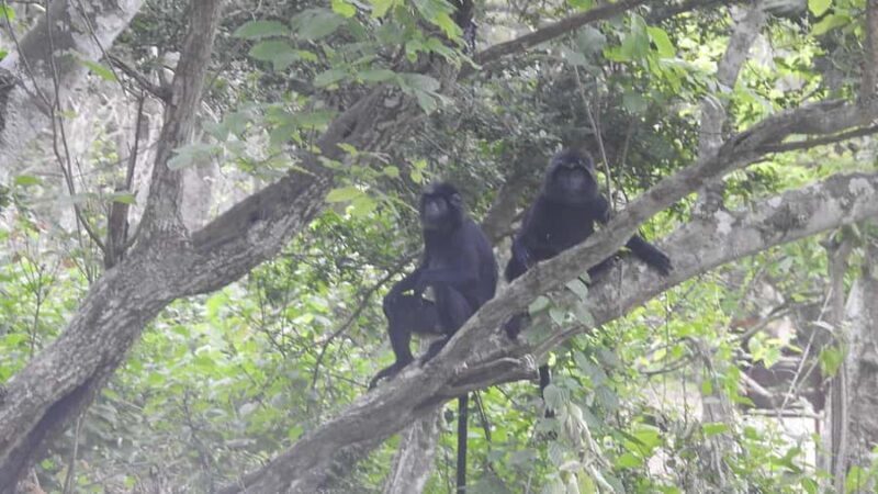 West Bali: Jungle Trekking in Bali Barat National Park - Key Points