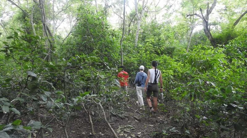 West Bali: Jungle Trekking in Bali Barat National Park - Frequently Asked Questions