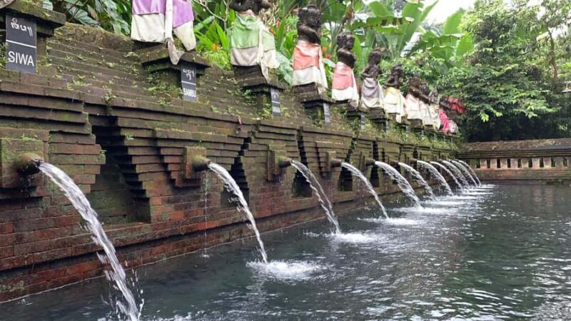 West Bali: Private Blessing Ceremony and Temple Tour - Key Points