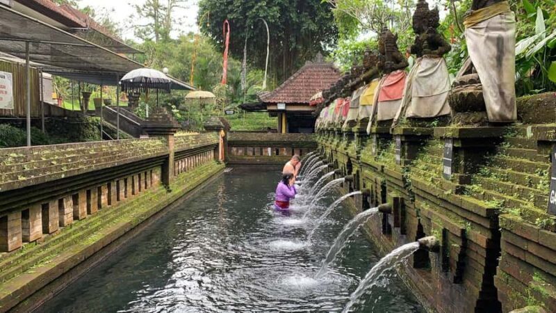 West Bali: Private Blessing Ceremony and Temple Tour - What You Can Expect from the Tour
