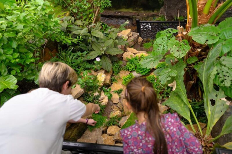 west-berkshireuk-the-living-rainforest-centre-entry-ticket