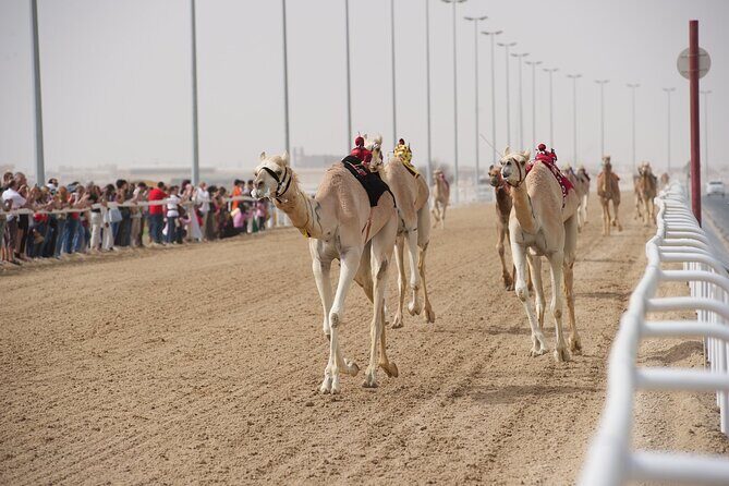 West Coast and Camel Race Track Visit - Final Thoughts: Who Will Love This Tour?