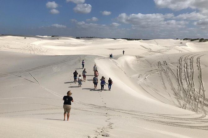 West Coast Day Trip from Cape Town - Key Points