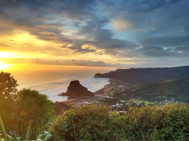 West Coast Discovery Piha Beach Private Tour - Exploring the West Coast of Auckland: A Review of the Piha Beach Private Tour