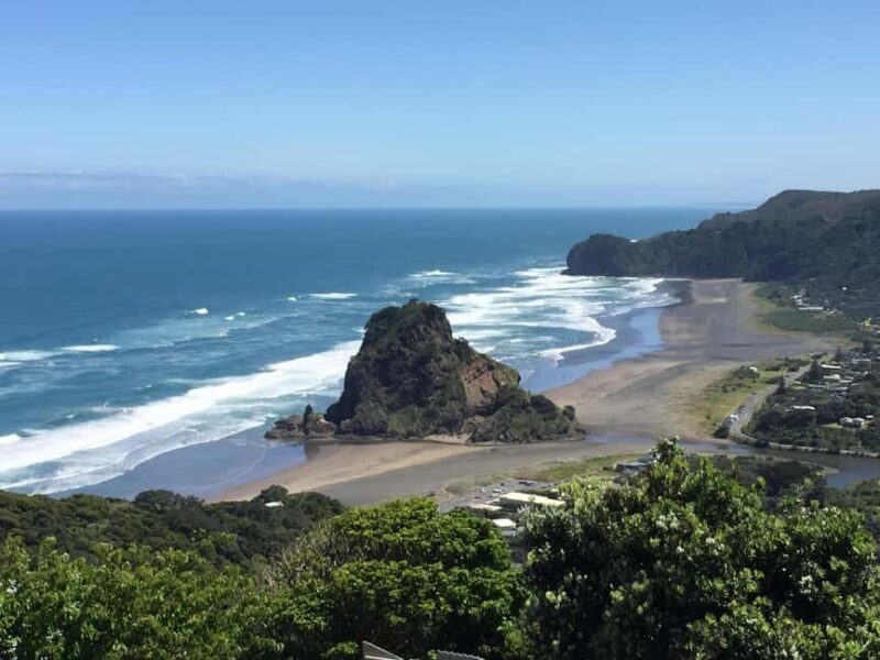 West Coast Discovery Piha Beach Private Tour - The Itinerary Breakdown: What You Can Expect