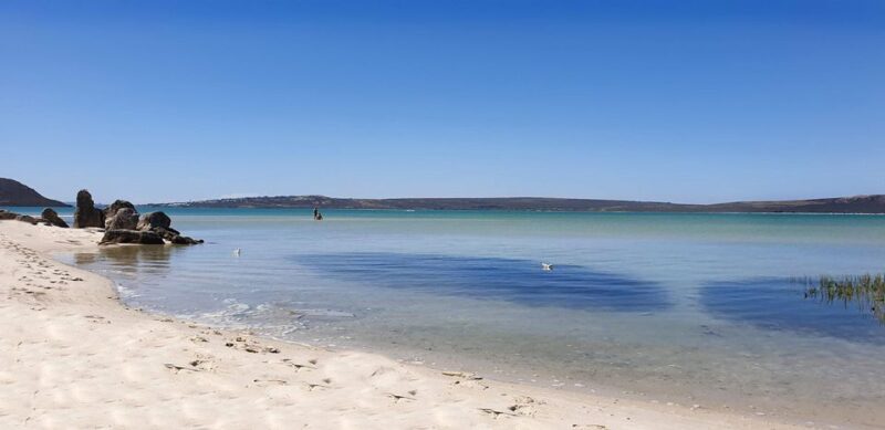West Coast National Park: Private Day Tour. - Key Points