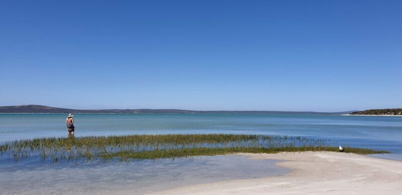 West Coast National Park: Private Day Tour. - What to Expect from Your West Coast Adventure
