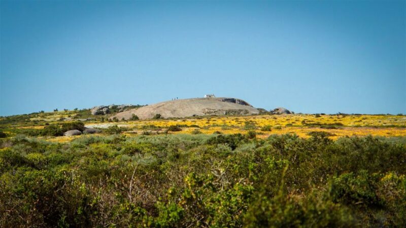 West Coast National Park: Private Day Tour. - The Sum Up